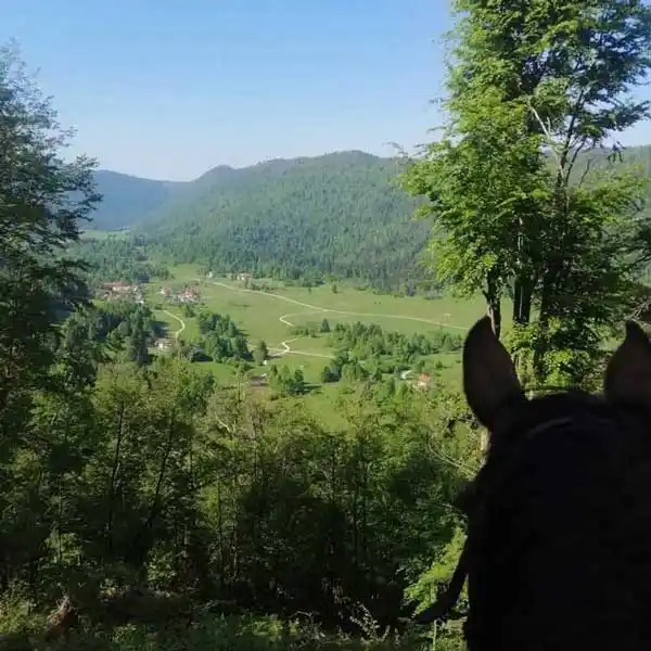 Ranč Špela - Čepovanska dolina na konju