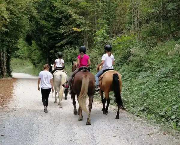 Ranč Špela - učne ure jahanja na terenu