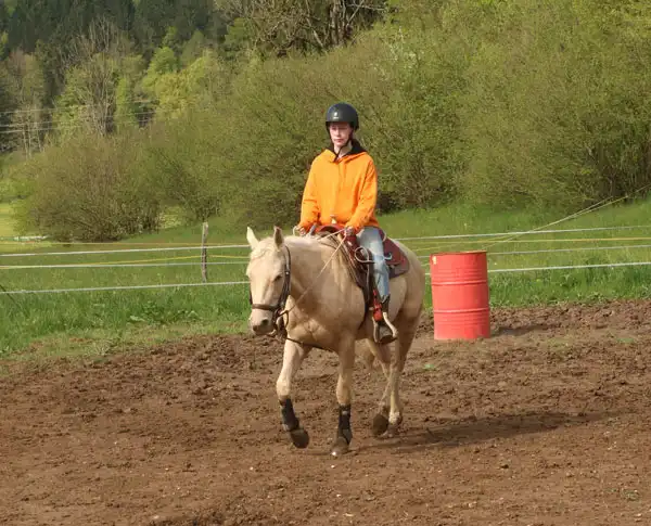 Ranč Špela - učne ure jahanja v ogradi